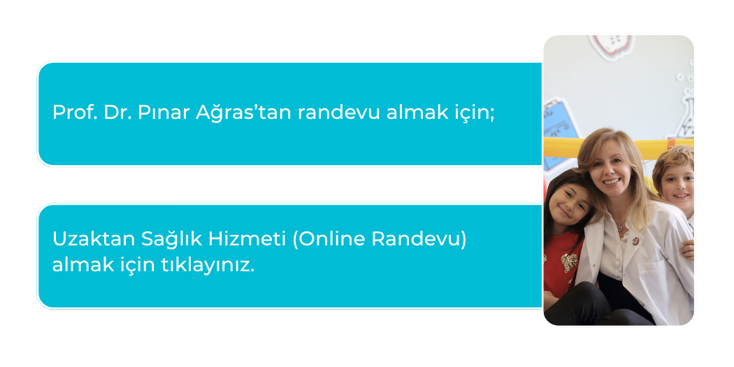 Footer Üstü Görseli